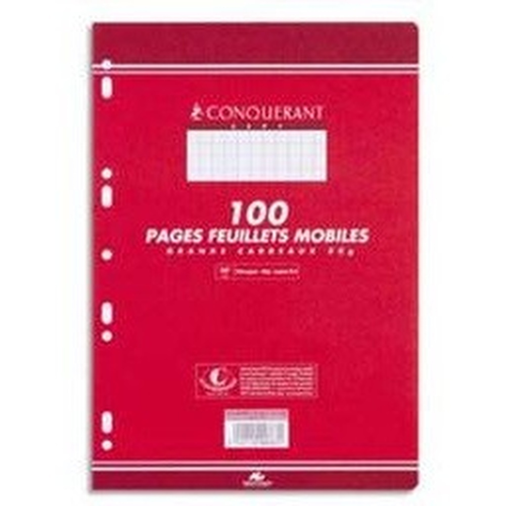 COPIES SIMPLE 210*297 MM (GRAND FORMAT) 80G 100 PAGES PETITS