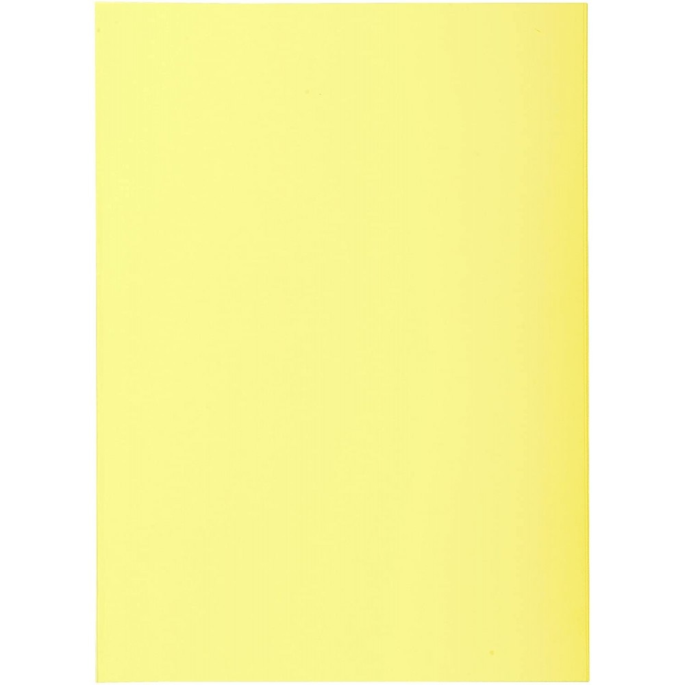 EXACOMPTA Paquet de 250 sous-chemises SUPER 60 en carte 60 g, coloris  assortis pastels